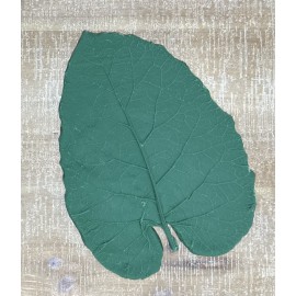 Burdock Rubber Leaf Form Set Burdock Rubber Leaf Form Set